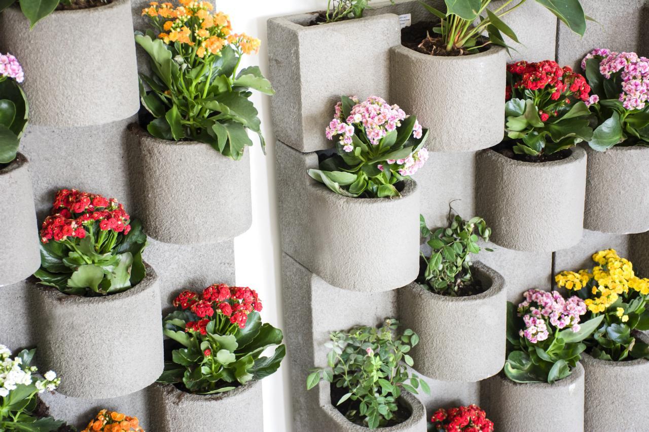 Radisson Blu Resort, Al Khobar Félhold-öböl Kültér fotó Vertical garden